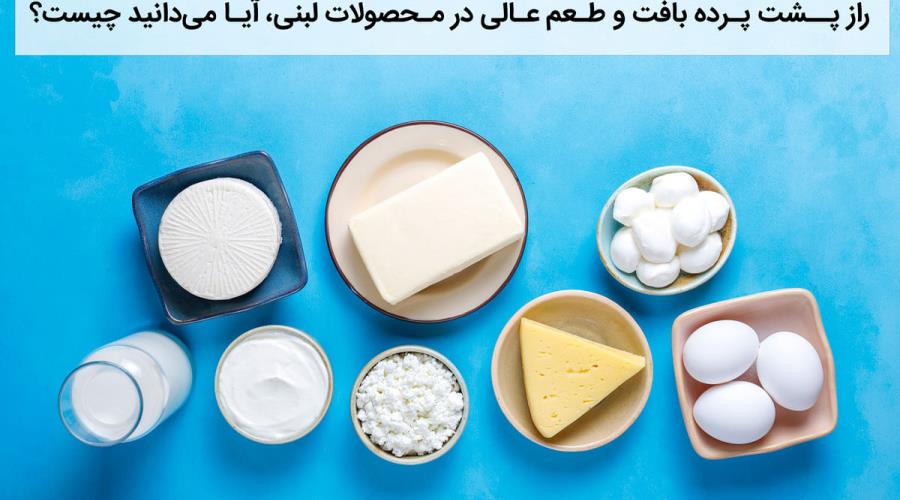 راز پشت پرده بافت و طعم عالی در محصولات لبنی