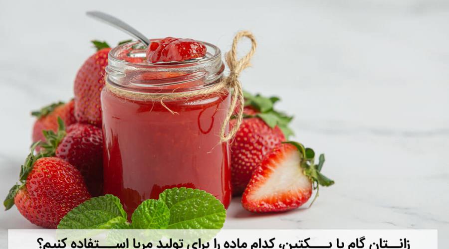 زانتان گام یا پکتین، کدام ماده را برای تولید مربا استفاده کنیم؟